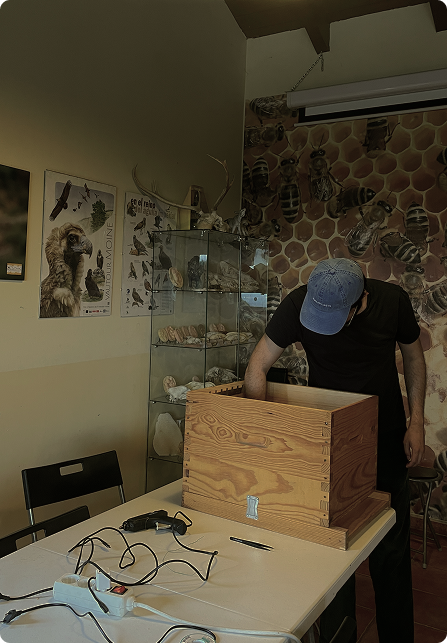 Instalación interactiva de panal de abejas sonoro en un aula