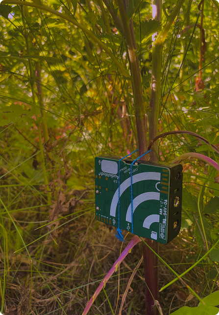 Dispositivo de grabación sonora instalado en el campo